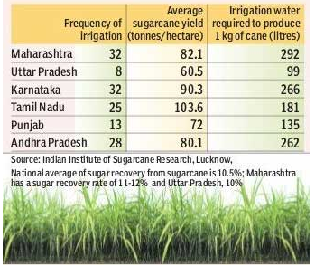 Average Sugar Cane Yield